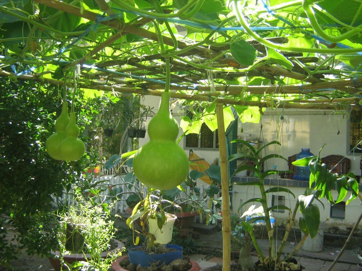 Coco Happy Farm Villa Ben Tre Exterior foto