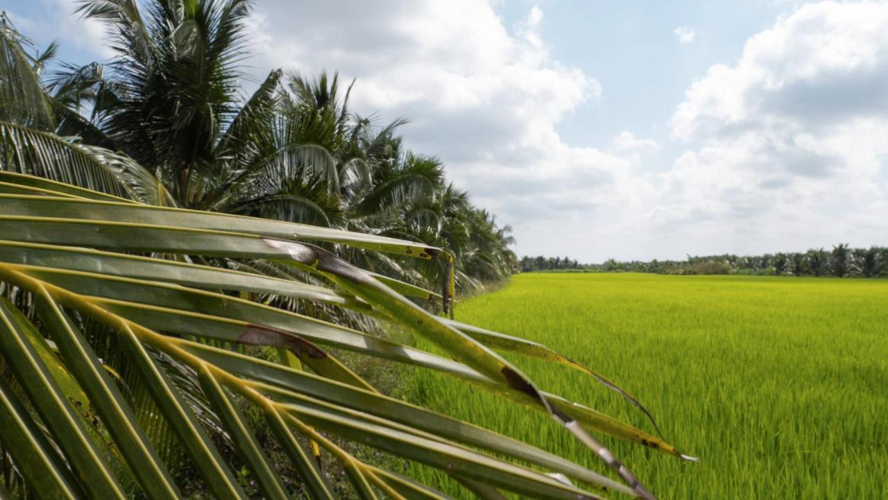 Coco Happy Farm Villa Ben Tre Exterior foto