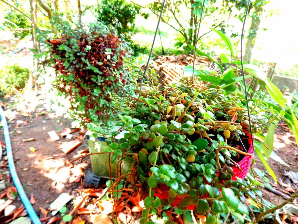 Coco Happy Farm Villa Ben Tre Exterior foto