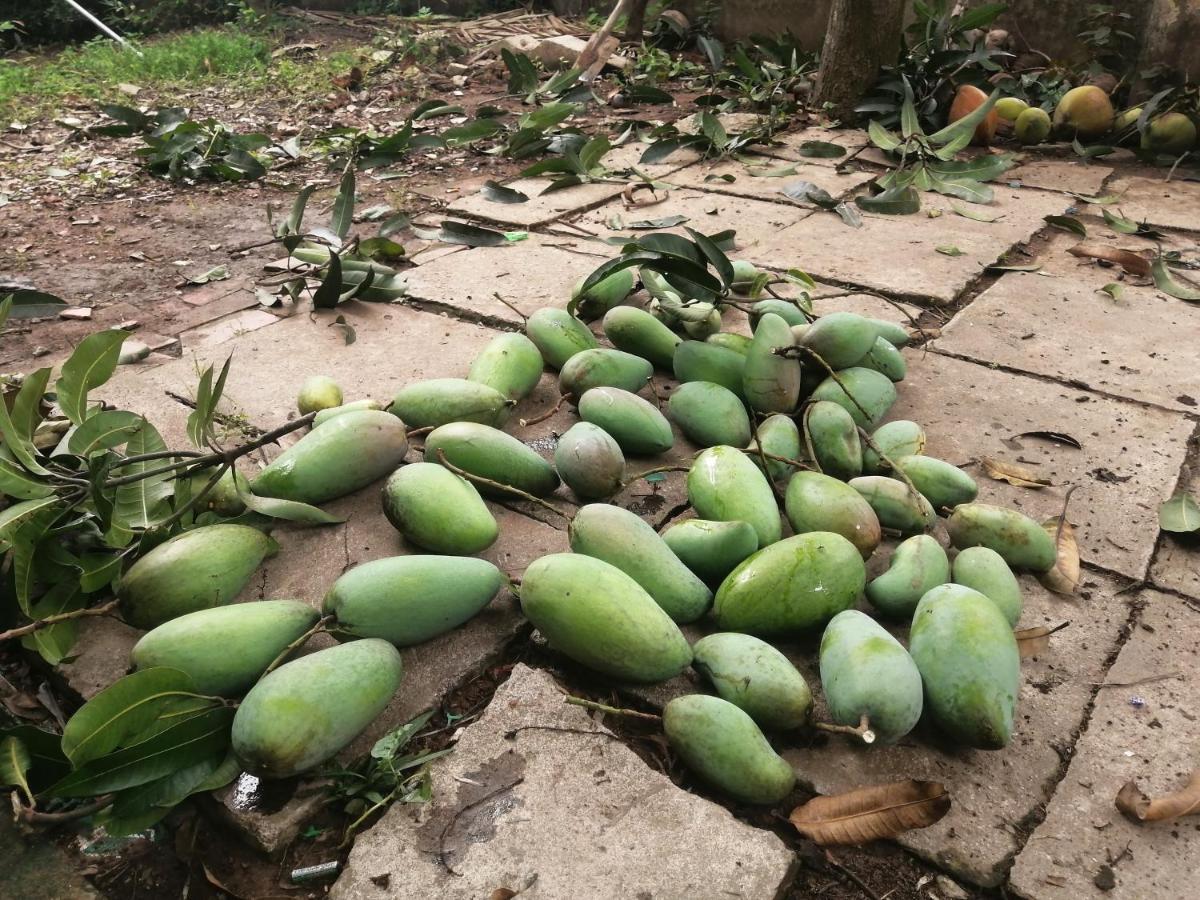 Coco Happy Farm Villa Ben Tre Exterior foto