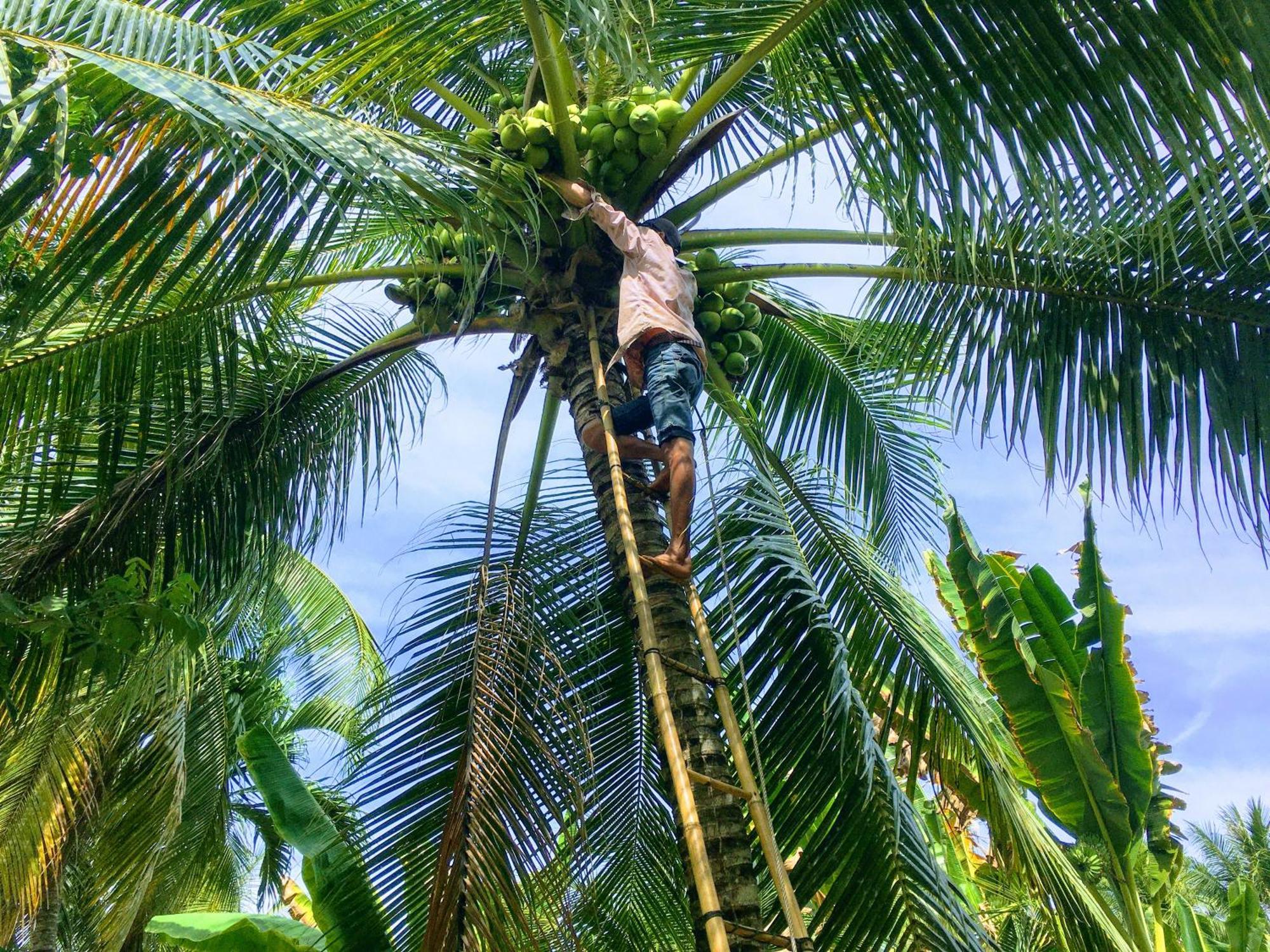 Coco Happy Farm Villa Ben Tre Exterior foto
