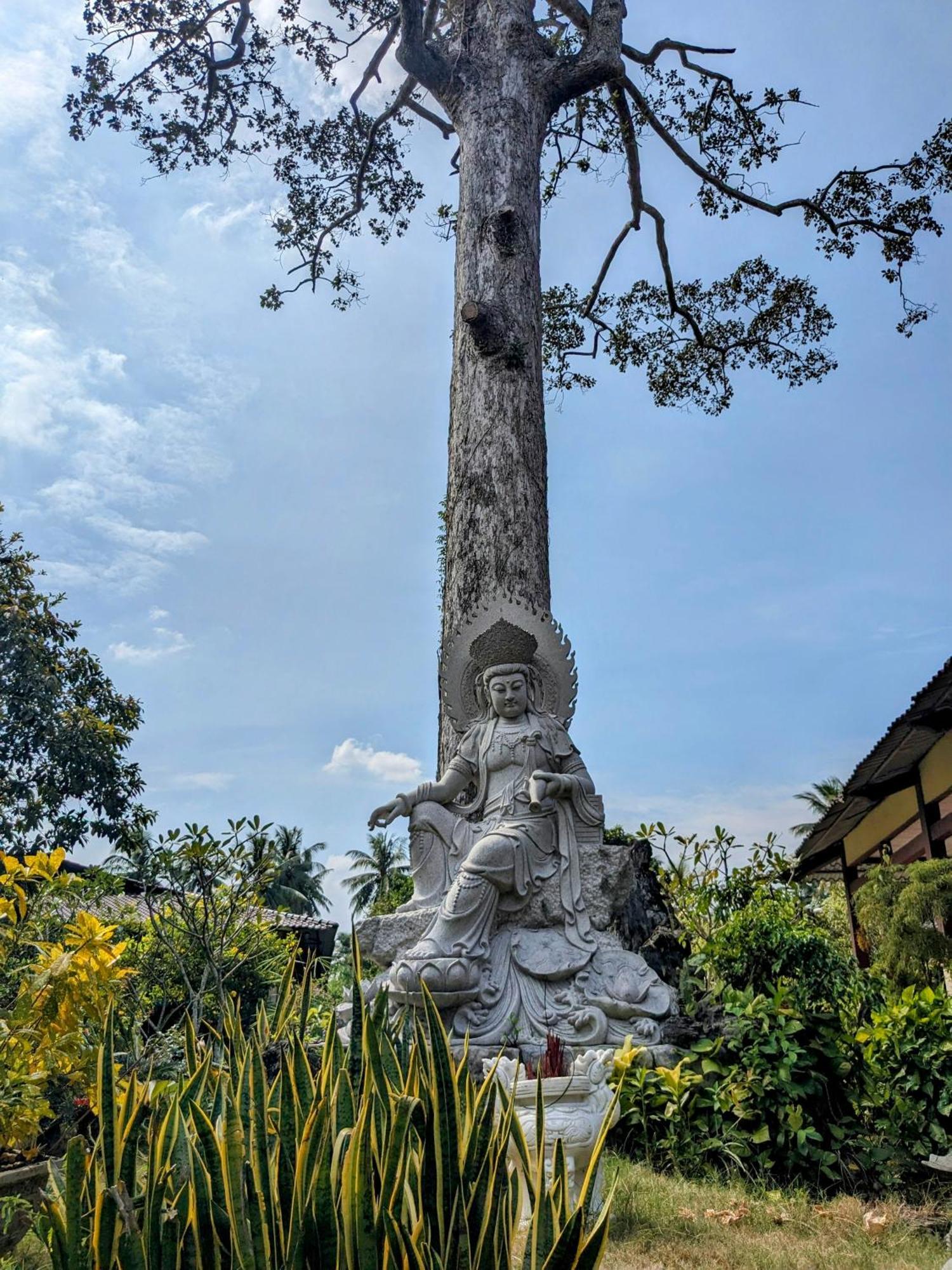Coco Happy Farm Villa Ben Tre Exterior foto