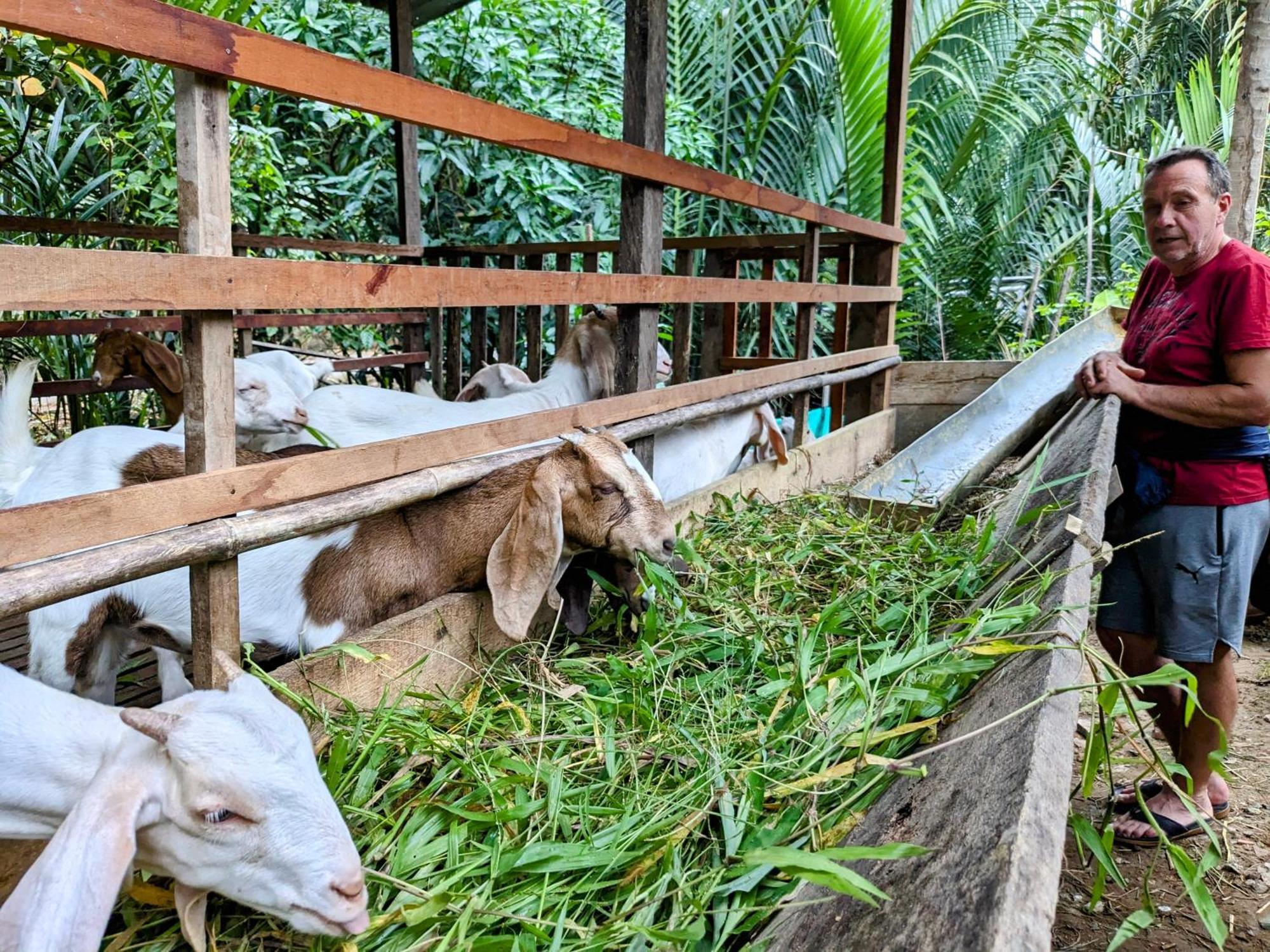 Coco Happy Farm Villa Ben Tre Exterior foto